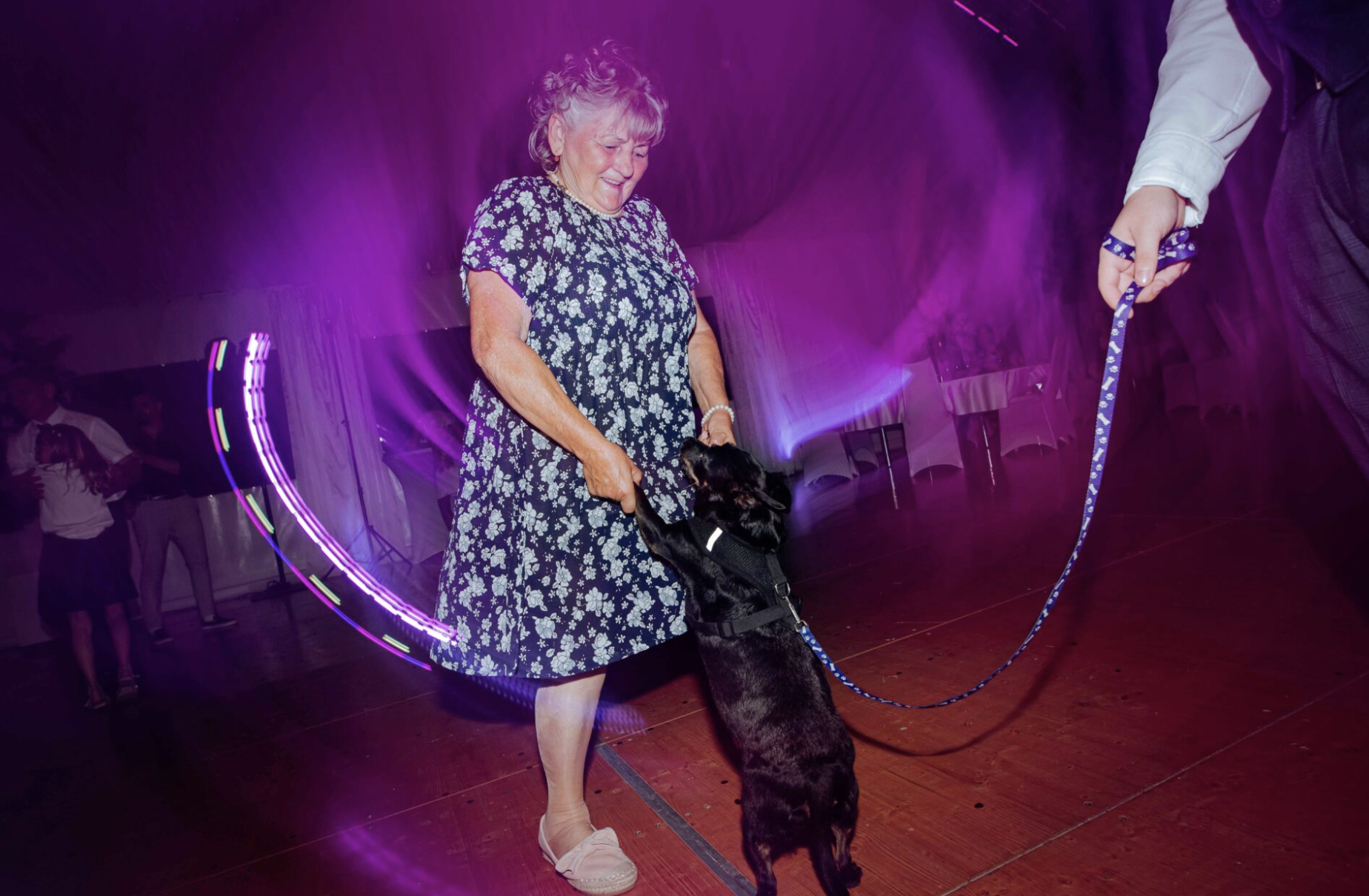 Kutya nagymamával táncol egy esküvőn